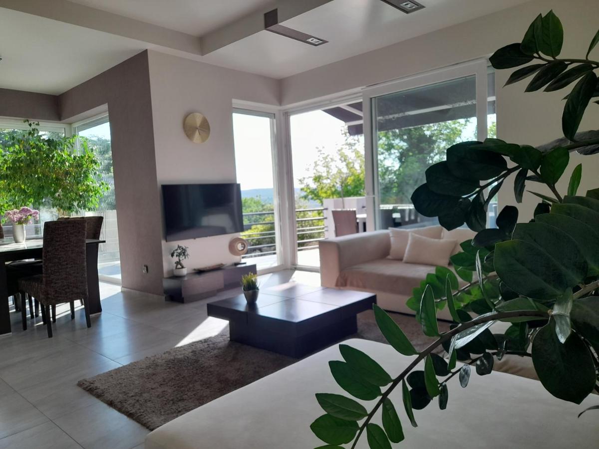 Private Family Villa Budaörs Εξωτερικό φωτογραφία