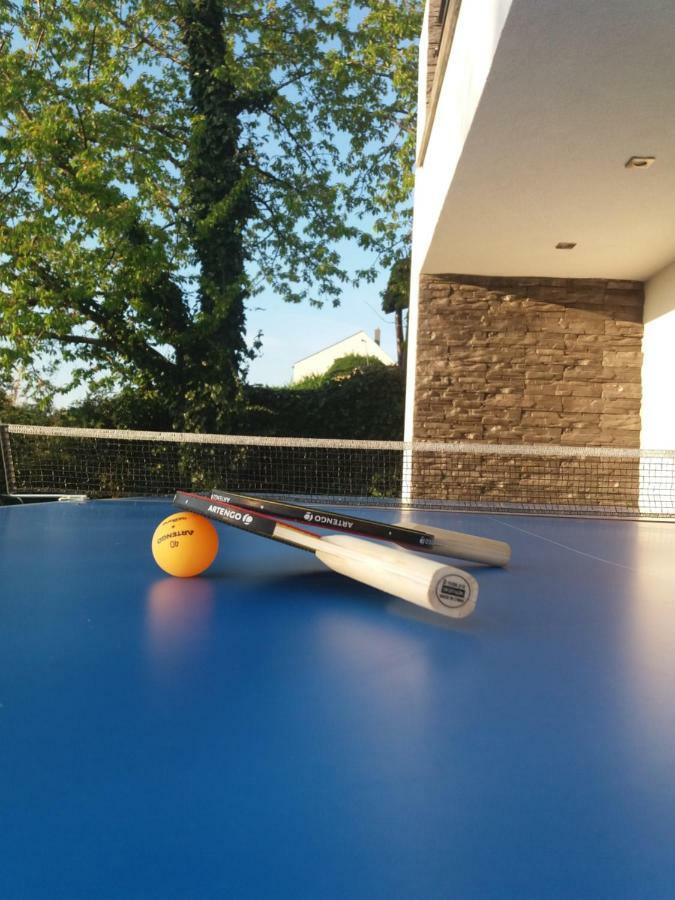 Private Family Villa Budaörs Εξωτερικό φωτογραφία